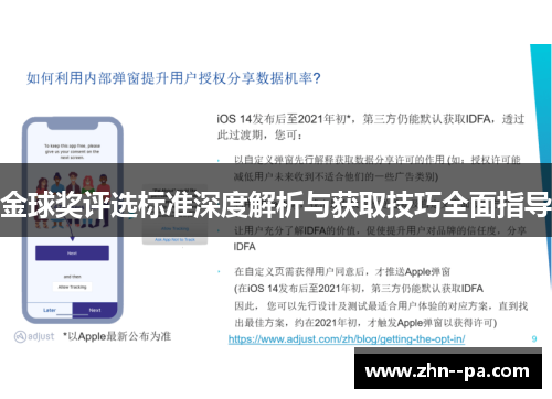 金球奖评选标准深度解析与获取技巧全面指导