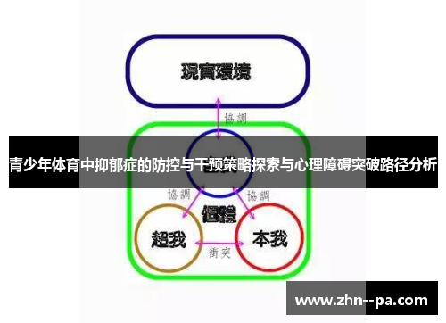 青少年体育中抑郁症的防控与干预策略探索与心理障碍突破路径分析 青少年体育中抑郁症的防控与干预策略探索与心理障碍突破路径分析