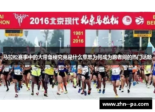 马拉松赛事中的大带鱼梗究竟是什么意思为何成为跑者间的热门话题 马拉松赛事中的大带鱼梗究竟是什么意思为何成为跑者间的热门话题